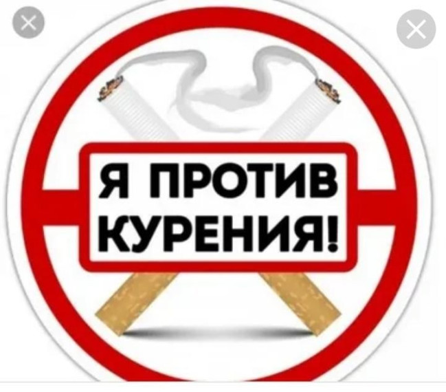 Беседы о профилактике курения.